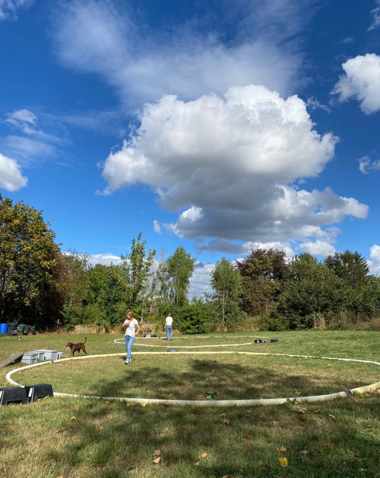 Hundeschule bei Kleiner Wolfsblick in Kerpen